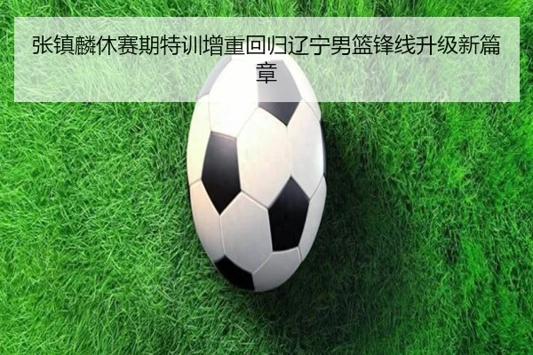 张镇麟休赛期特训增重回归辽宁男篮锋线升级新篇章